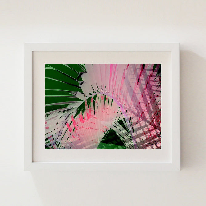 Pink Palm Print